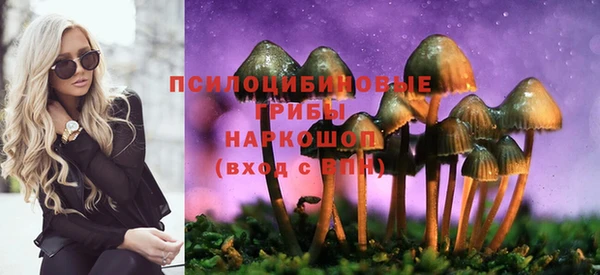 трава Беломорск