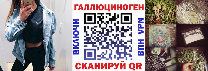 купить  сайты  Ахтырский  Псилоцибиновые грибы Psilocybine cubensis 